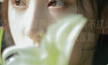 最新消息！黑料不打烊带你深潜ip地址查询大冒险