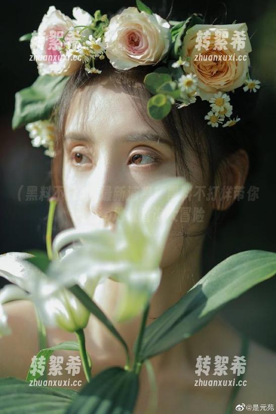 最新消息！黑料不打烊带你深潜ip地址查询大冒险